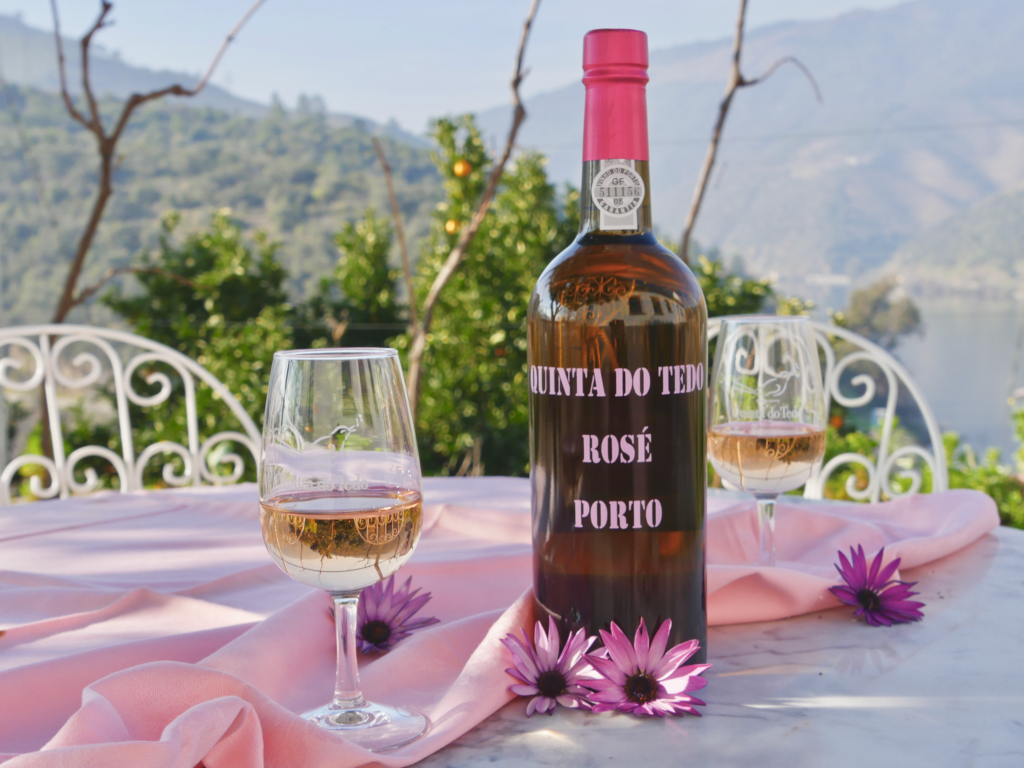 rose, wine, porto, portugal, summer aesthetic